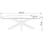 Table de salle à manger en manguier bio Noyer réniforme avec pied pivotant (kopie) – Image 8