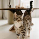 Salontafel Hamburg Deens Ovaal Naturel 130cm - Afbeelding 7